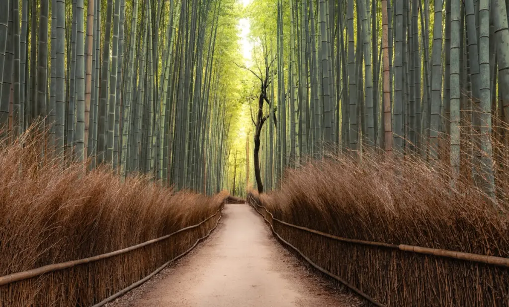 Arashiyama, Kyoto