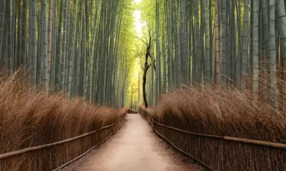 Arashiyama, Kyoto